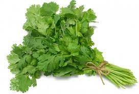 SALSINHA ORGÂNICA - MAÇO 100G